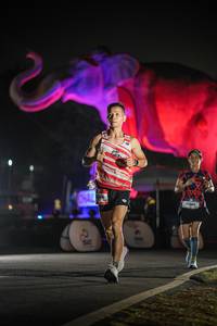 BIB: 
                            <button type="button" onclick="openModal(26531280)" class="btn btn-primary btn-sm float-right btn-popup" data-toggle="modal" data-target=".modal-high-quality">
                        <i class="fas fa-shopping-cart"></i> Add to Cart
                    </button>
                                            <button type="button" onclick="isThisMe(26531280, true)" class="btn btn-success btn-sm float-right btn-popup btn-isme hidden" data-toggle="tooltip" data-placement="bottom" title="นี่คือรูปของคุณใช่ไหม คลิกที่นี่เพื่อเอาเข้าอัลบั้ม">
                        <i class="fas fa-plus"></i> Add to album
                    </button>
                    <button type="button" onclick="isThisMe(26531280, false)" class="btn btn-warning btn-sm float-right btn-popup btn-isnotme hidden">
                        <i class="fas fa-ban"></i> Remove from album
                    </button>